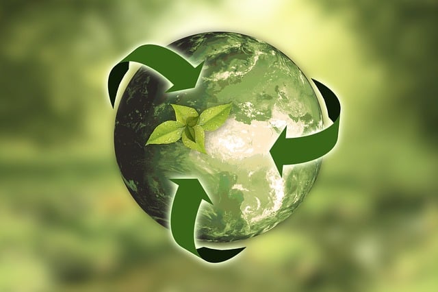 Grüne Welt mit nachwachsenden Ressourcen für unsere Etikettendruckerei